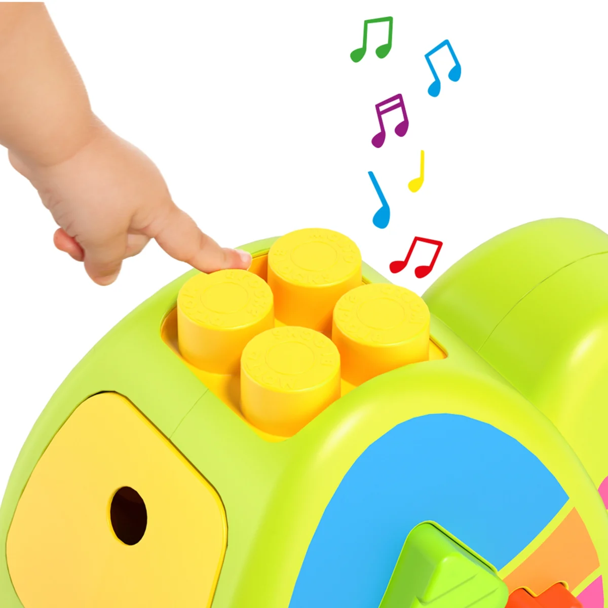 Tortuga Actividades – Molto Juguete educativo interactivo con sonidos, puzzles y bloques