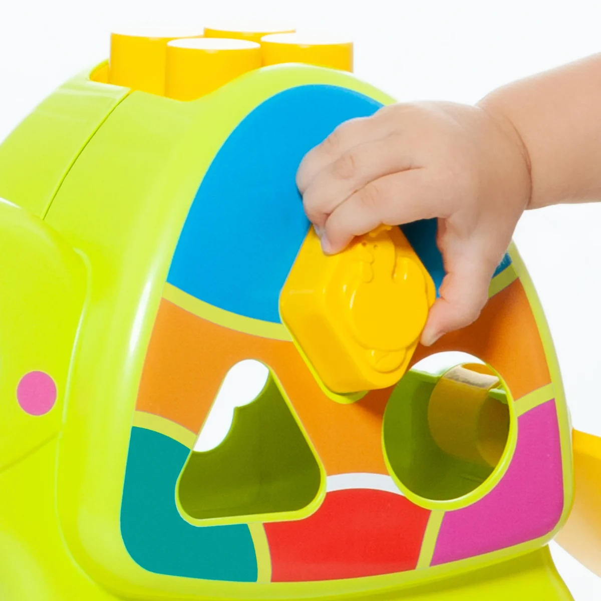 Tortuga Actividades – Molto Juguete educativo interactivo con sonidos, puzzles y bloques